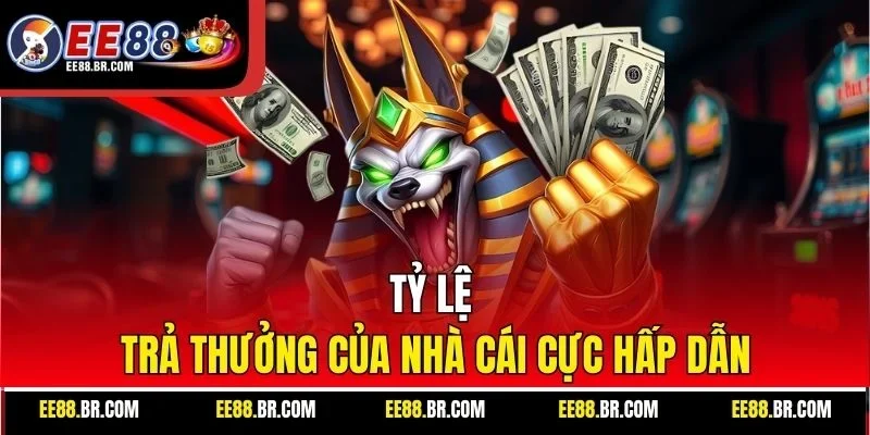 Tỷ lệ trả thưởng của nhà cái cực hấp dẫn